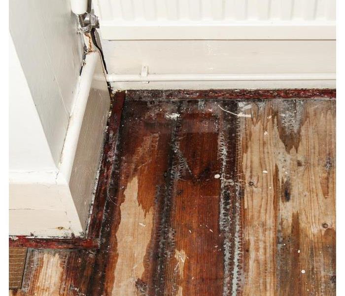 Water on a wooden floor causing mold growth